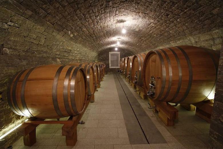 Апартаменты Kmetija Tomazic Vinska Klet - Winery Випава Экстерьер фото