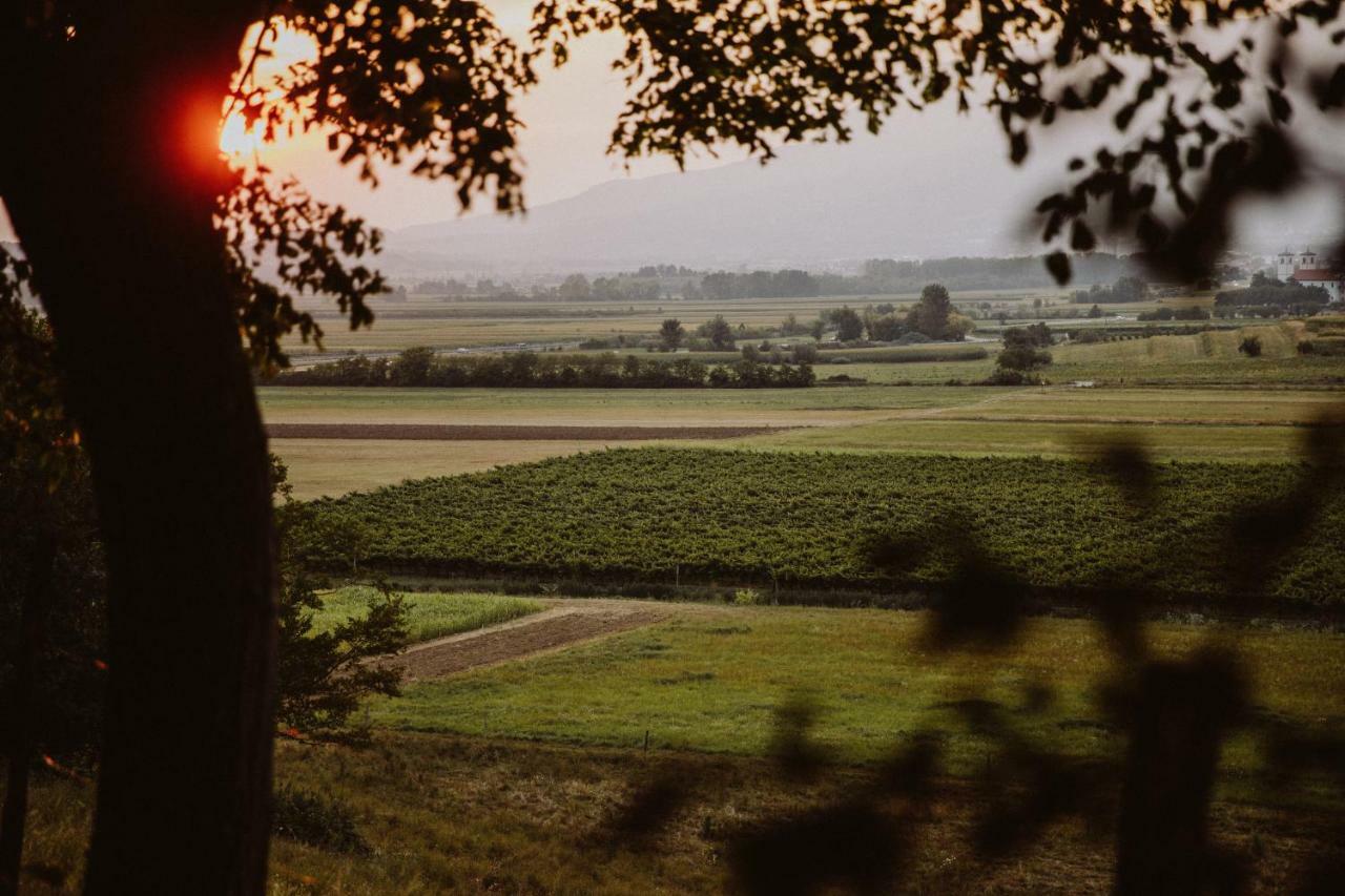 Апартаменты Kmetija Tomazic Vinska Klet - Winery Випава Экстерьер фото